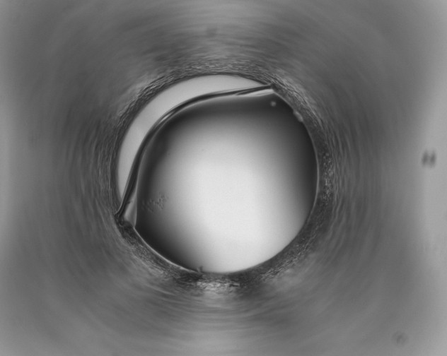 X0000089930693200707201840