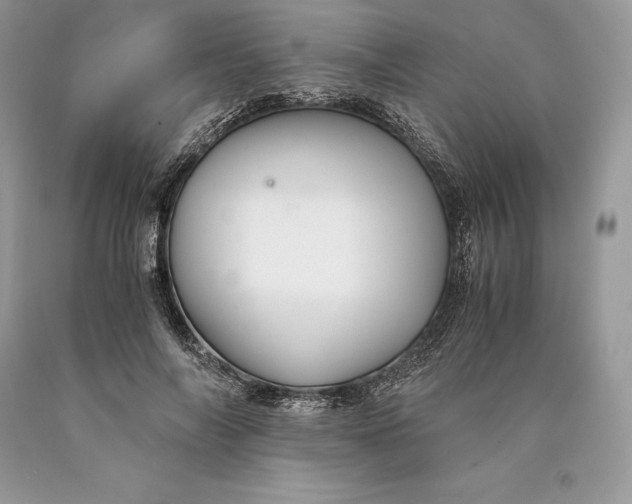 X0000089930694200707201840