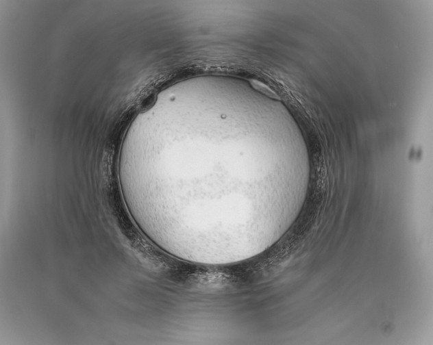 X0000089930695200707201840