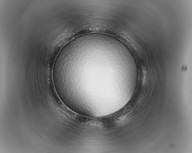 X0000089930696200707201840