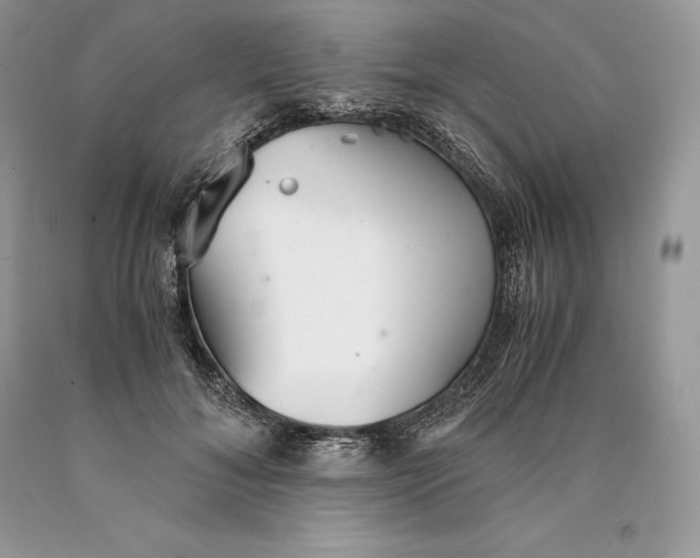 X0000089930700200707201840