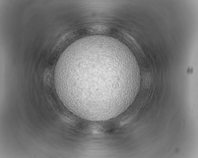 X0000089930701200707201840