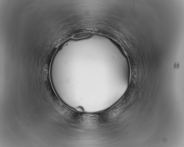 X0000089930707200707201840