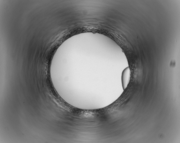 X0000089930710200707201840