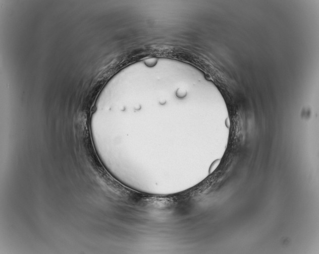 X0000089930711200707201840