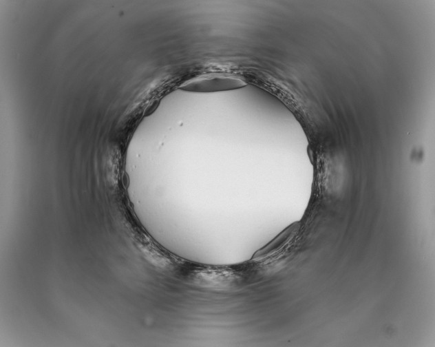 X0000089930712200707201840