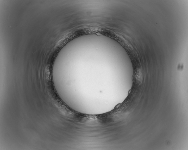 X0000089930715200707201840