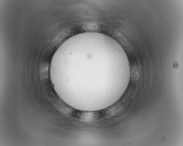 X0000089930717200707201840