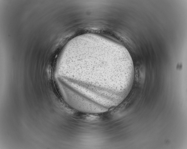 X0000089930718200707201840