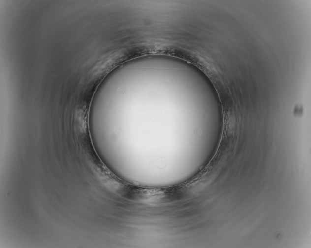 X0000089930719200707201840