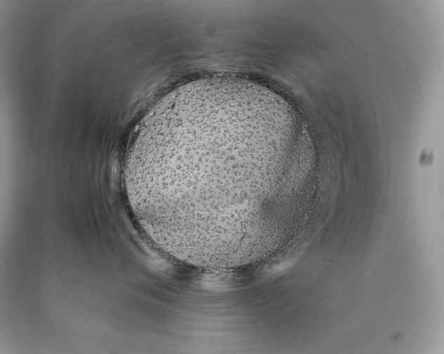 X0000089930720200707201840