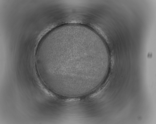 X0000089930721200707201839