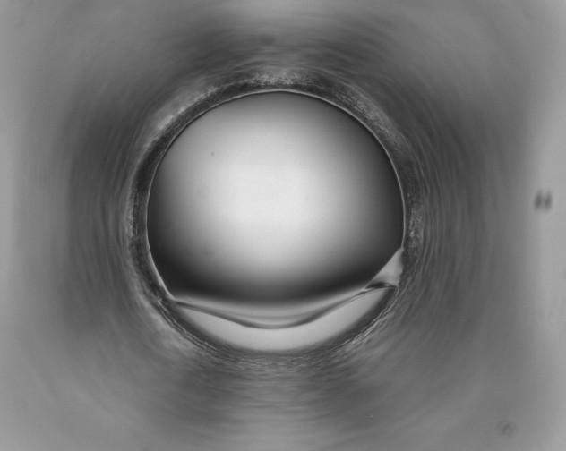 X0000089930722200707201839