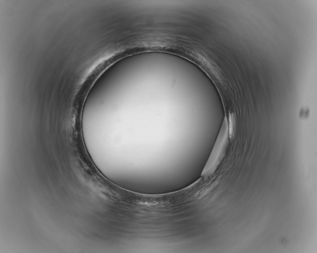 X0000089930723200707201839