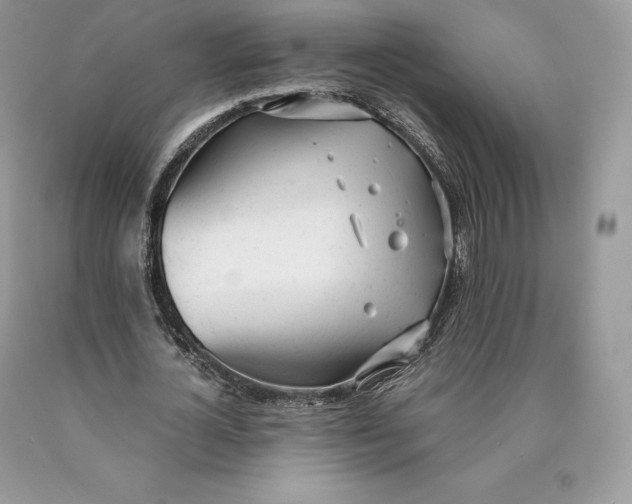 X0000089930724200707201839