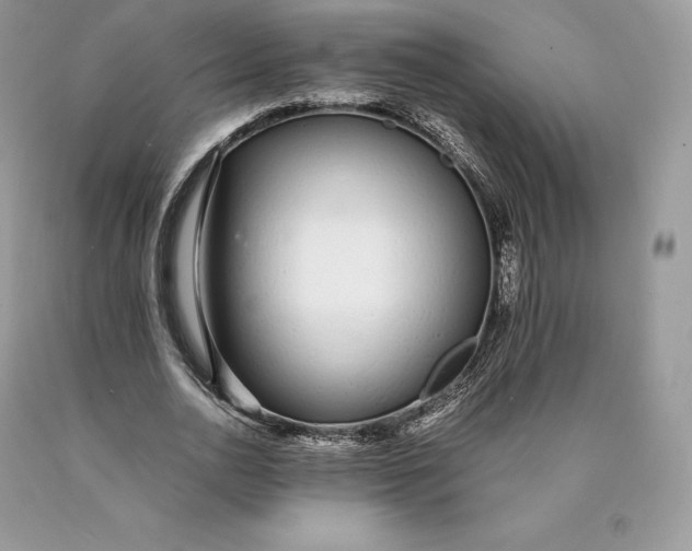 X0000089930726200707201839