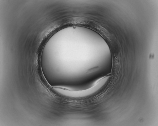 X0000089930727200707201839