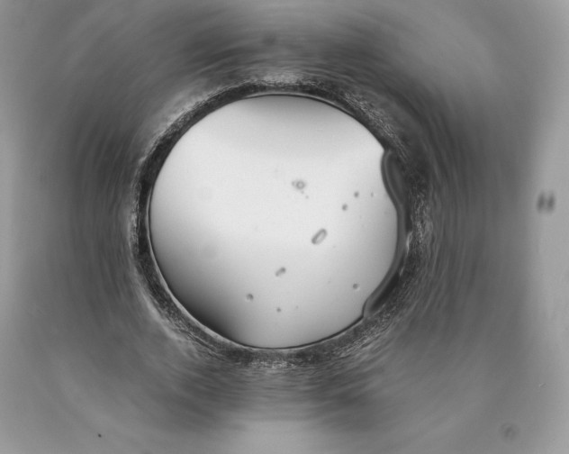 X0000089930728200707201839