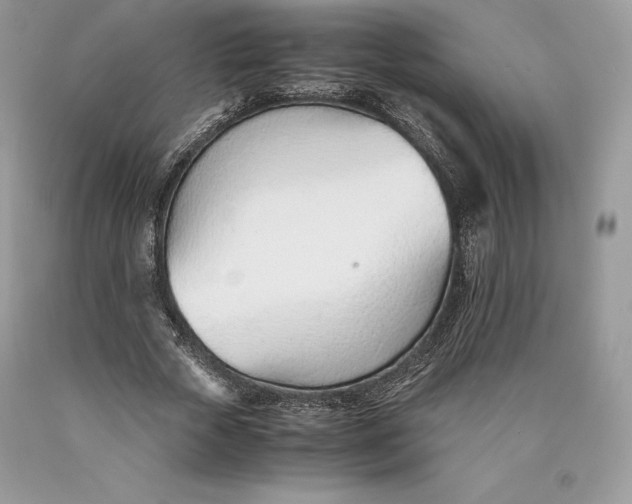 X0000089930729200707201839