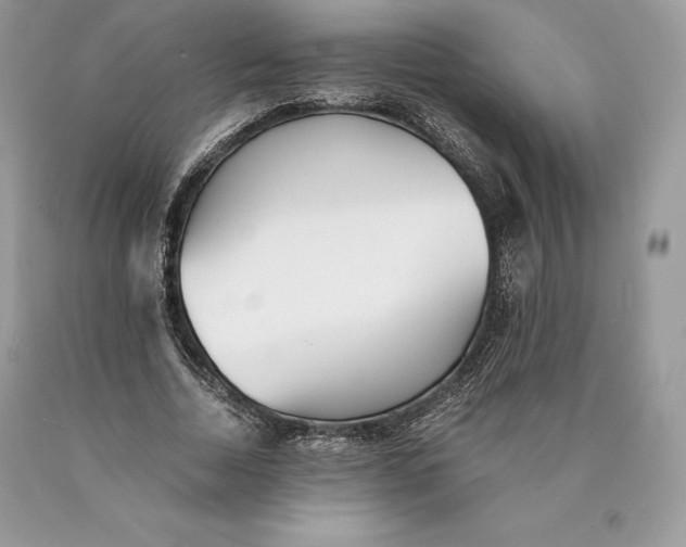 X0000089930730200707201839