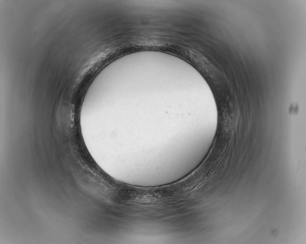 X0000089930731200707201839