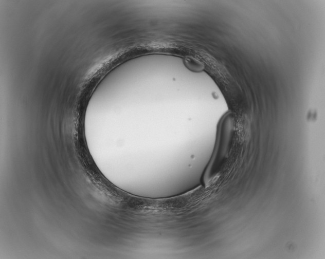 X0000089930732200707201839