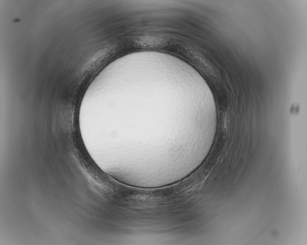 X0000089930733200707201839