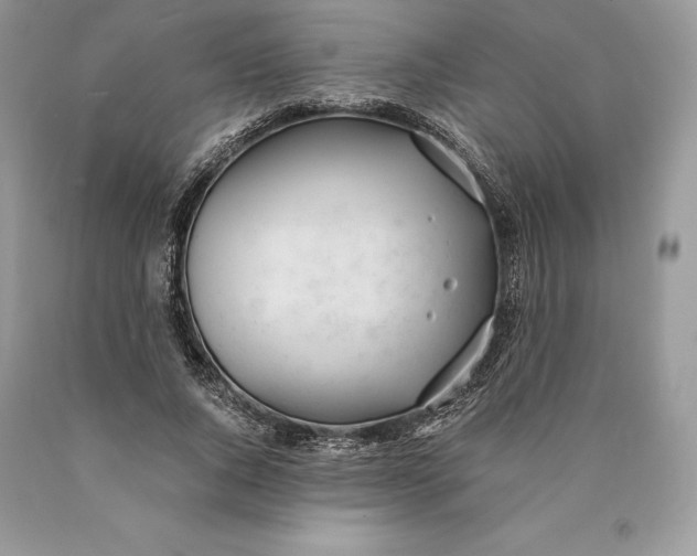 X0000089930736200707201840