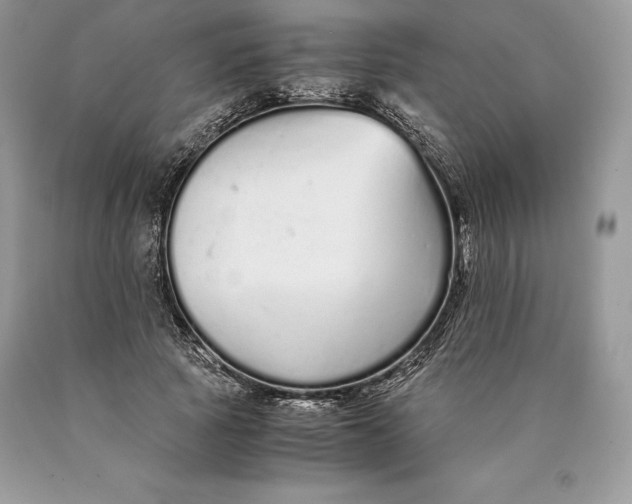 X0000089930737200707201840