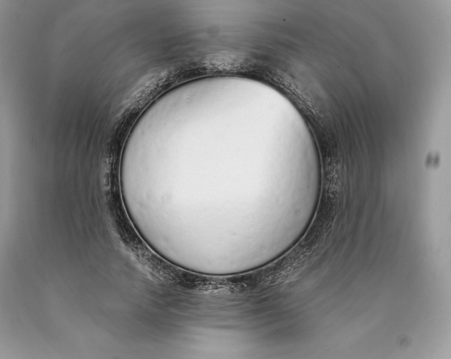 X0000089930738200707201840