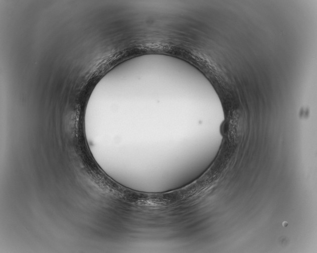 X0000089930739200707201840