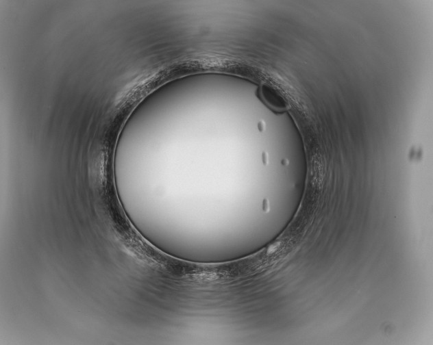 X0000089930740200707201840