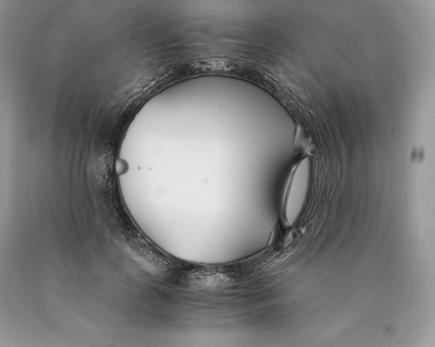 X0000089930747200707201840