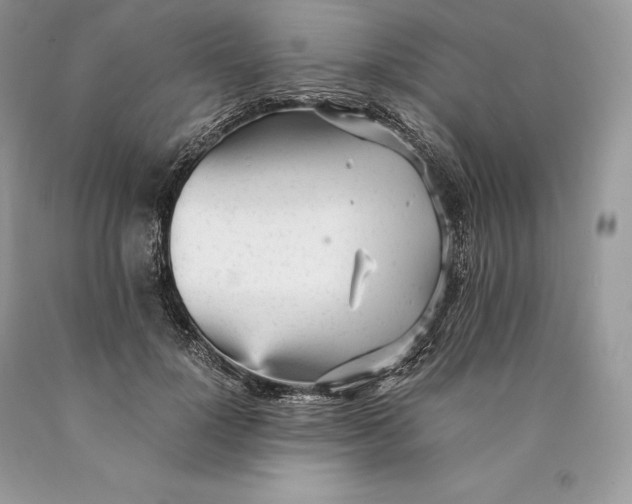 X0000089930748200707201840