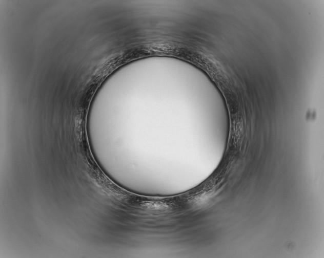 X0000089930749200707201840