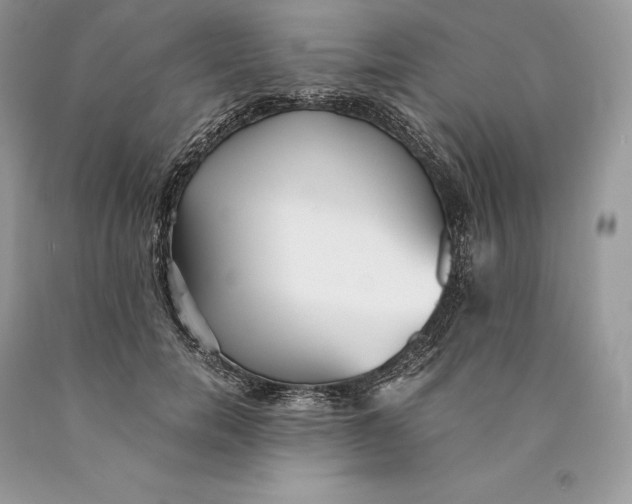 X0000089930750200707201840