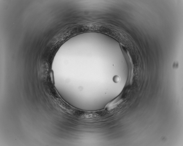 X0000089930752200707201840