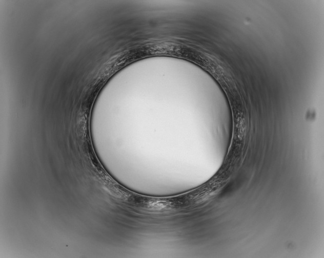 X0000089930753200707201840