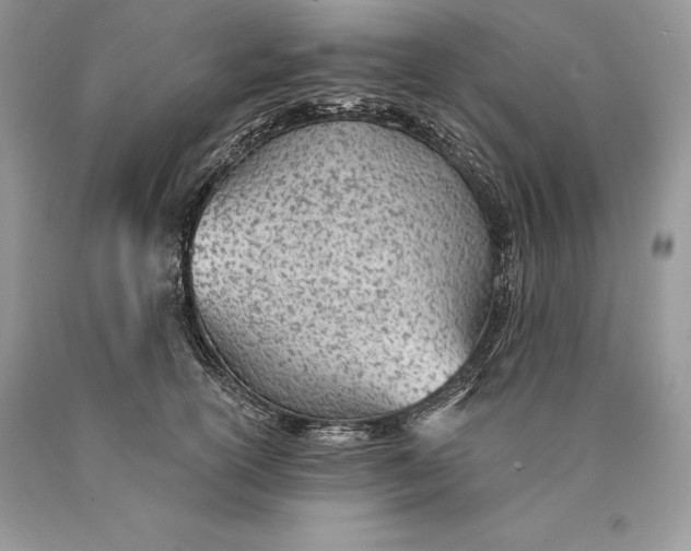 X0000089930754200707201840