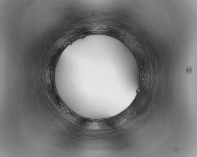 X0000089930755200707201840