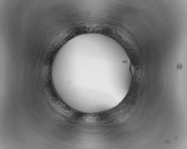 X0000089930756200707201840