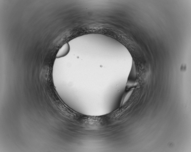 X0000089930758200707201840