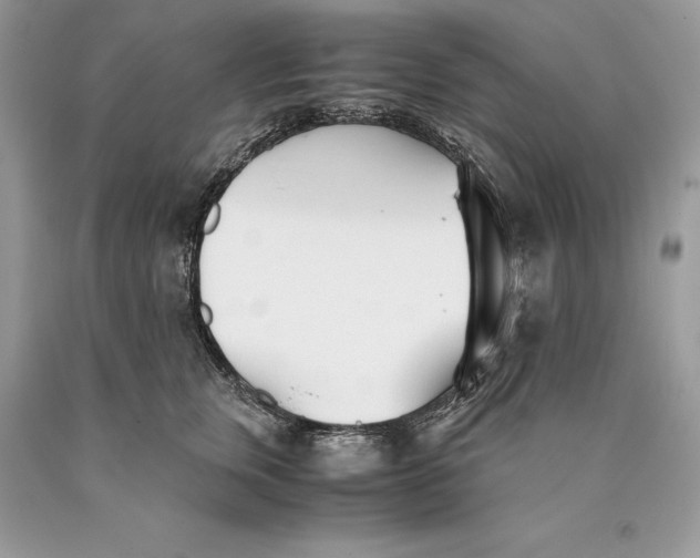 X0000089930759200707201840