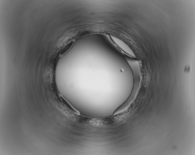 X0000089930762200707201840