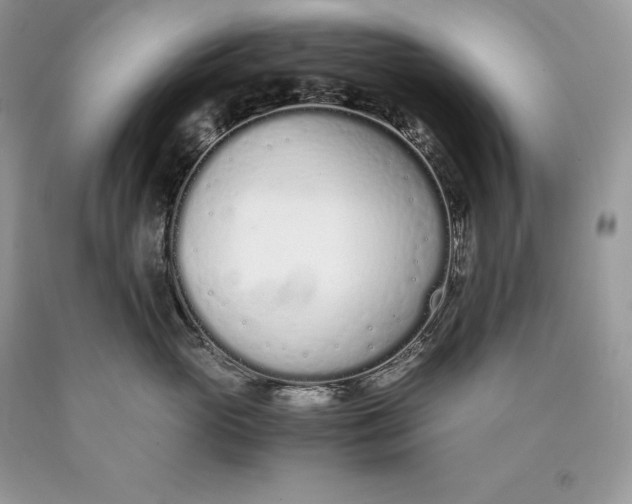 X0000089930765200707201840