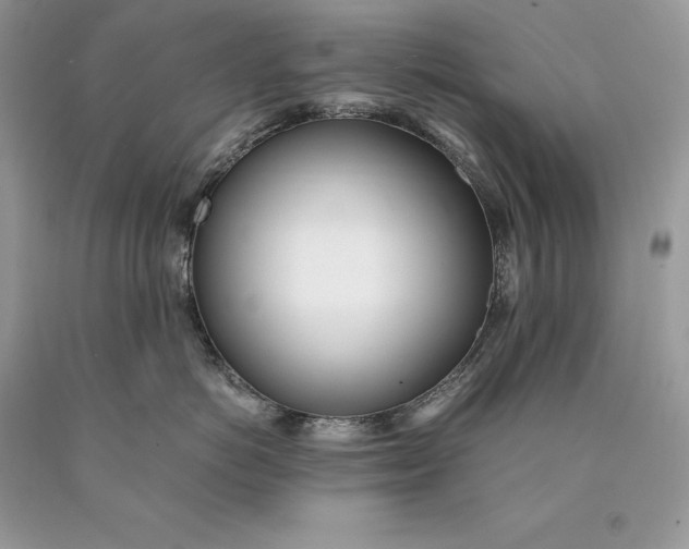 X0000089930766200707201840