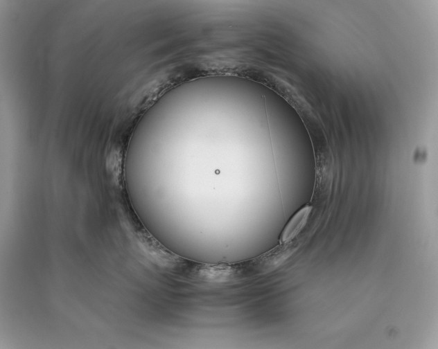 X0000089930767200707201840