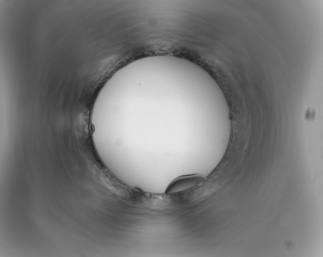 X0000089930768200707201840