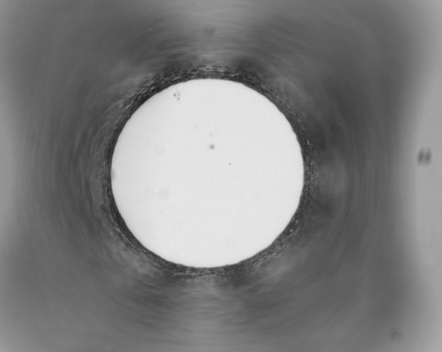 X0000089930769200707201839