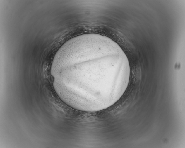 X0000089930770200707201839